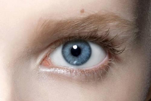 Оранжевая тушь для ресниц. Макияж с бордовой тушью для ресниц: 13 идей