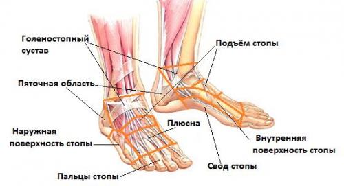 Болит подъем стопы сверху. Почему болит подъем стопы