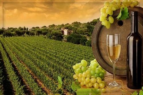 Виноград для кожи лица. Для лица виноград – лучшее средство для уставшей кожи