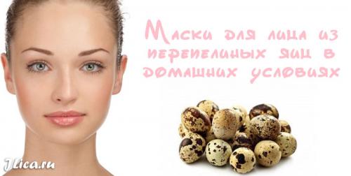 Маска из перепелиных яиц для лица. Рецепты масок на основе перепелиных яиц 01 Маска из перепелиных яиц для лица. Рецепты масок на основе перепелиных яиц 01