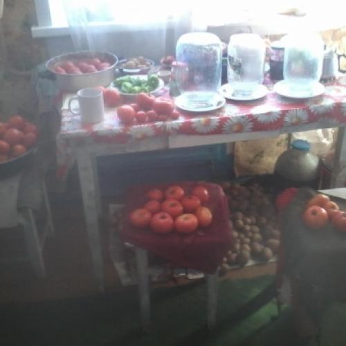 Домашний помидор от ангелины. Отзывы о магазине 01 Домашний помидор от ангелины. Отзывы о магазине 01