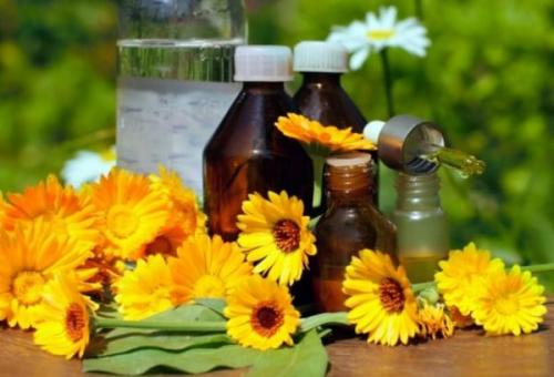 Настойка календулы. Лечебные свойства, состав и польза