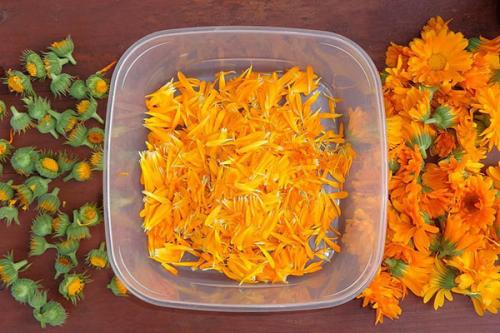 Мазь календулы для лица. Применение мази календулы для лица