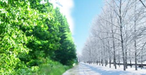 Капилляры на лице У ребенка. Причины проявления