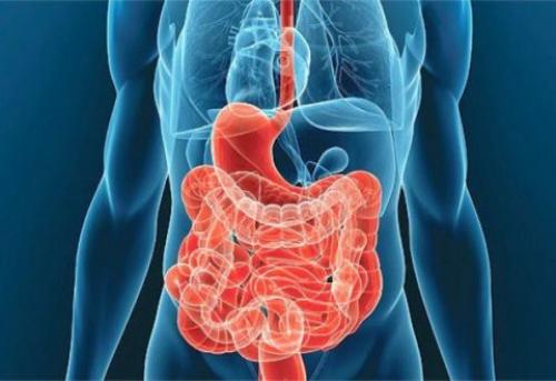 Капилляры на лице У ребенка. Причины проявления