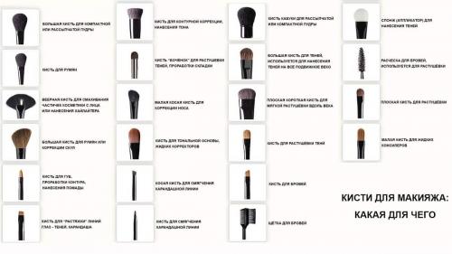 Кисть для пудры, какая лучше. Виды кистей