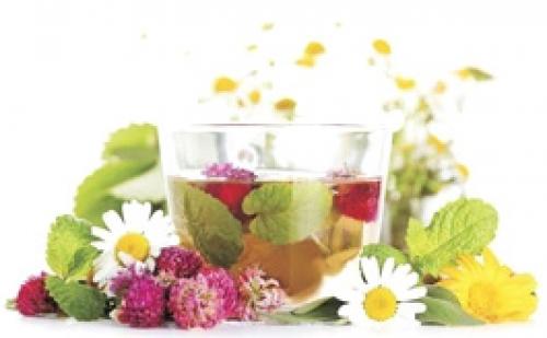 Шалфей польза для лица. Правила применения 04