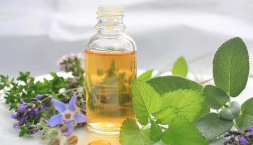 Мята для волос. Мята перечная для волос: как пользоваться, рецепты