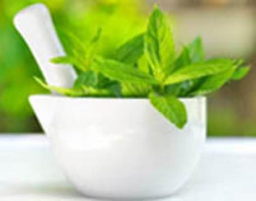 Мята от морщин. Мята для лица: польза, свойства