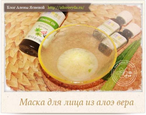 Ромашка с алоэ для лица. Удивительные свойства чудо-растения 03 Ромашка с алоэ для лица. Удивительные свойства чудо-растения 03