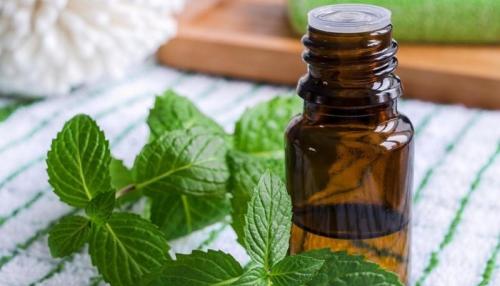 Мята для волос. Мята перечная для волос: как пользоваться, рецепты