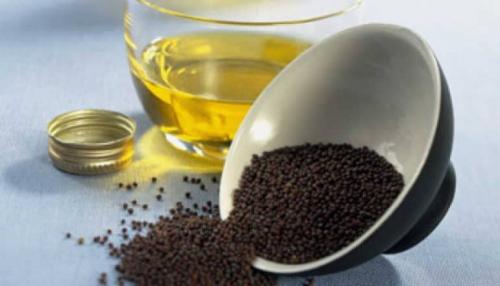 Горчичное масло: польза и вред, из чего делается