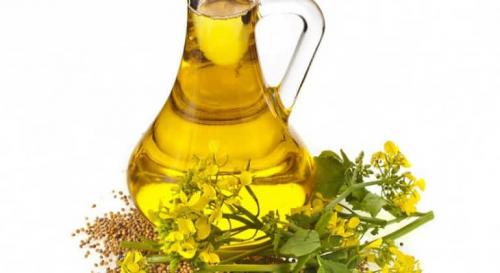 Горчичное масло: польза и вред, из чего делается