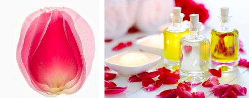 Лосьон из лепестков роз. 02