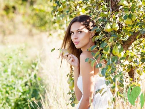 Маска для лица из груши для стареющей кожи лица в домашних. Грушевые маски для сияющей и здоровой кожи лица