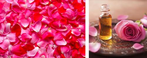 Лосьон из лепестков роз. 01