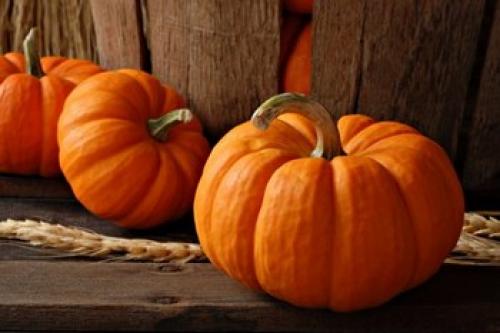 Тыква рецепты в косметологии. Тыквенные маски для лица: лучшие народные рецепты