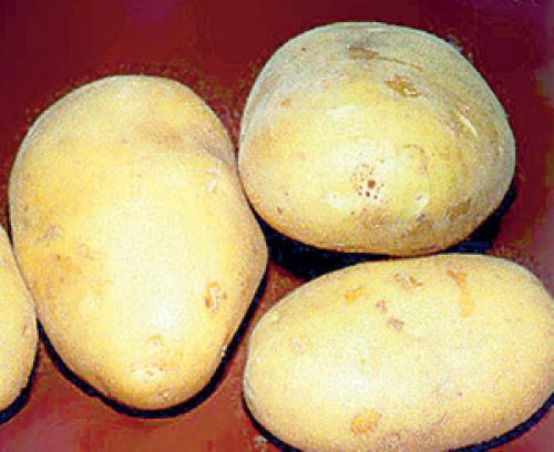 Продукция для снятия стресса. Продукты для снятия стресса 01