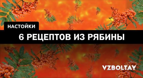 Рябина красная настойка. Рябиновая настойка: 6 рецептов в домашних условиях