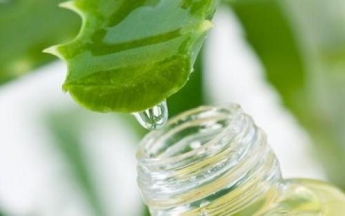 Лосьон для лица из алоэ в домашних условиях. Лечебная химия 02