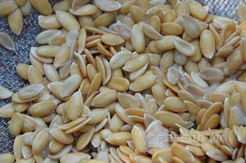 Масло дыни в косметологии. Польза и применение масла их дынных семечек