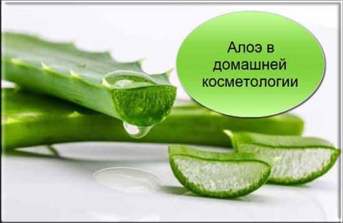 Лосьон для лица из алоэ в домашних условиях. Лечебная химия 01