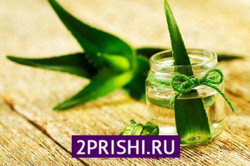 Лосьон для лица из алоэ в домашних условиях. Лечебная химия 06