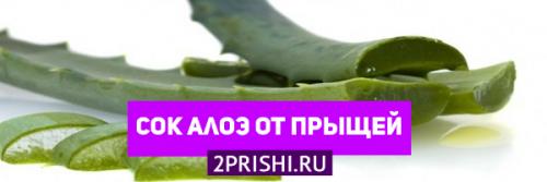 Лосьон для лица из алоэ в домашних условиях. Лечебная химия 04