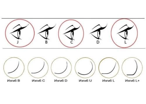 Для маленьких глаз наращивание ресниц. Виды наращивания ресниц: виды изгибов