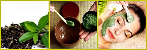 Маска из зеленого чая для лица рецепт. Рецепты масок для лица с зеленым чаем
