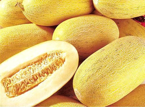 Польза дыни. Чем полезна дыня для организма человека?