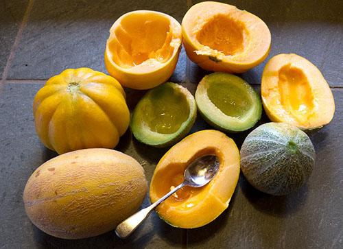 Польза дыни. Чем полезна дыня для организма человека?