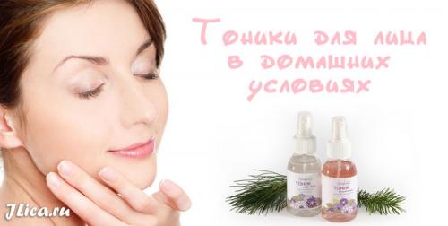 Лосьоны в домашних условиях для лица. Лучшие лосьоны для кожи лица в домашних условиях 01 Лосьоны в домашних условиях для лица. Лучшие лосьоны для кожи лица в домашних условиях 01