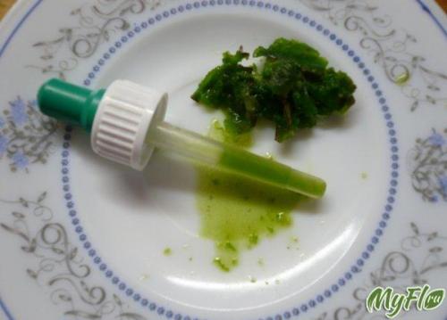 Каланхоэ от прыщей на лице. Маски 09