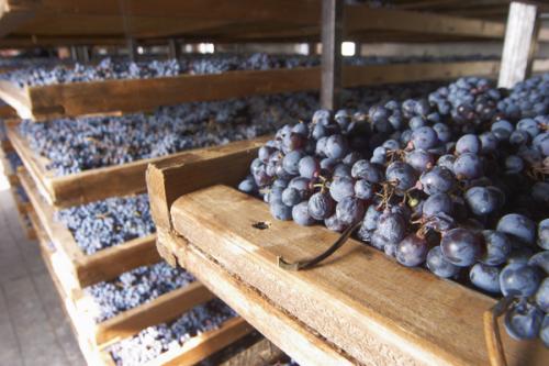 Какое вино самое полезное для здоровья. Какое вино полезнее – белое или красное? 18