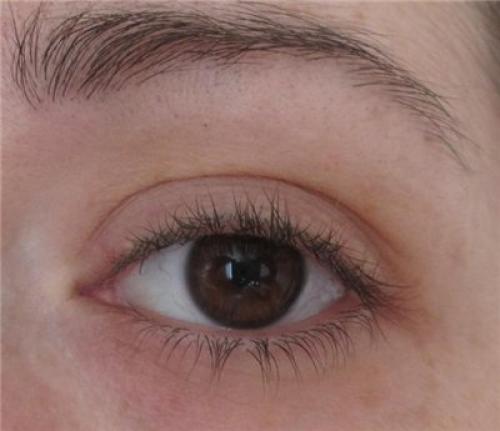 Гель для ресниц вместо туши. Прозрачные отношения: Гель для ресниц и бровей Арт-Визаж.