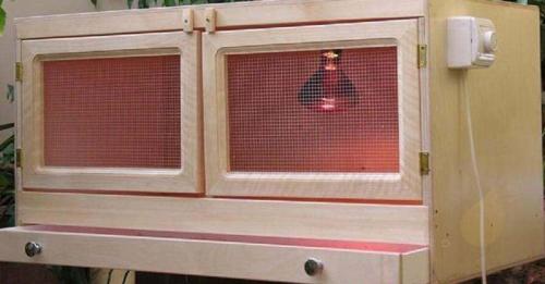 Перепелиная ферма. Оборудование для перепелиной фермы