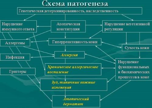 Очень сухая кожа витамины. Причины сухости кожи тела