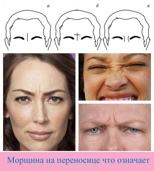 Морщины на переносице значение. Морщина на переносице и характер 10