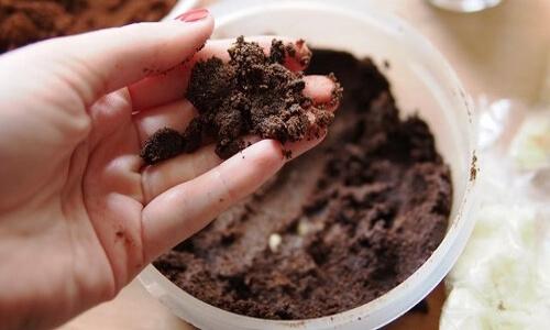 Скраб для лица из кофе своими руками. Кофейный скраб для лица в домашних условиях