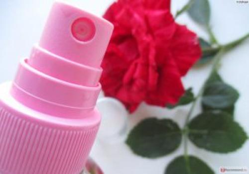 Как сделать кожу розовой. Как сделать розовую воду: подарок для молодости кожи