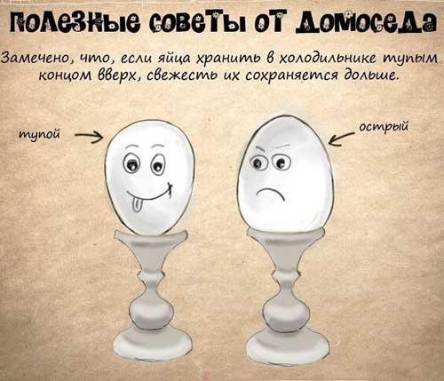 Полезные советы