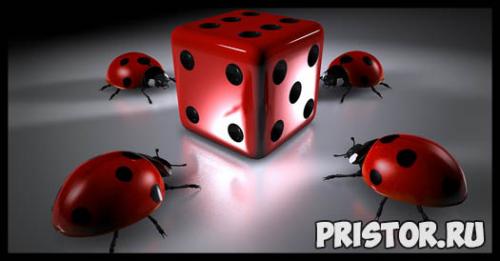 Что сделать, чтобы брови росли. Можно ли сделать брови густыми 04 Что сделать, чтобы брови росли. Можно ли сделать брови густыми 04