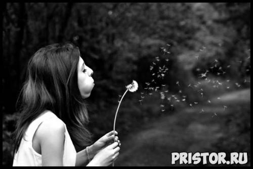 Что сделать, чтобы брови росли. Можно ли сделать брови густыми 01 Что сделать, чтобы брови росли. Можно ли сделать брови густыми 01