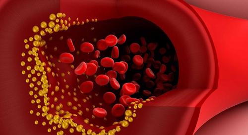 Могу ли я прожить долго. Как жить долго