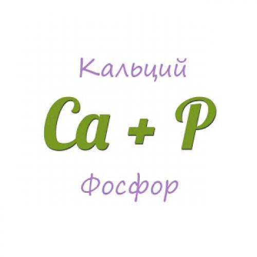 Как усваивается кальций в организме человека. 10 советов, чтобы кальций лучше усваивался
