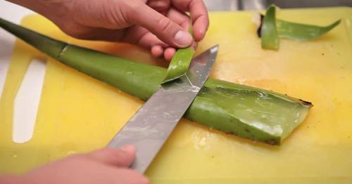 Маска для лица из алоэ. Польза от применения масок с алоэ