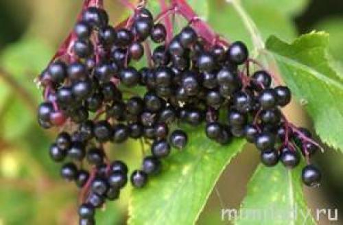 Как лицо сделать белым. Маскирующая косметика 06