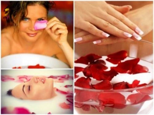 Натуральный тоник для лица. Натуральный тоник для любой кожи лица в домашних условиях – очищение и увлажнение