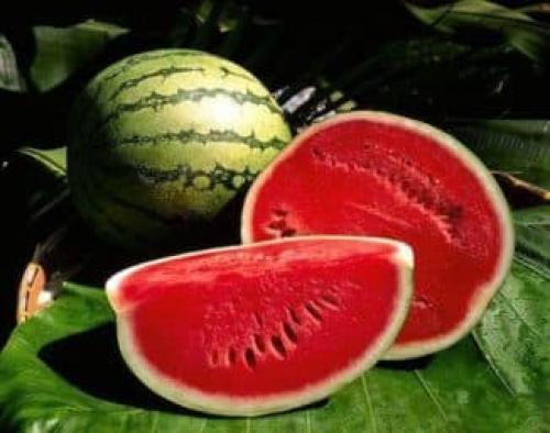 Маска из арбуза для лица в домашних условиях